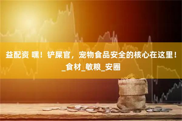 益配资 嘿！铲屎官，宠物食品安全的核心在这里！_食材_敏粮_安圈