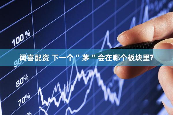 闻喜配资 下一个“ 茅 ”会在哪个板块里?