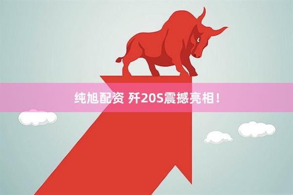 纯旭配资 歼20S震撼亮相！
